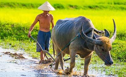 Voyage vietnam cambodge laos en 4 semaines