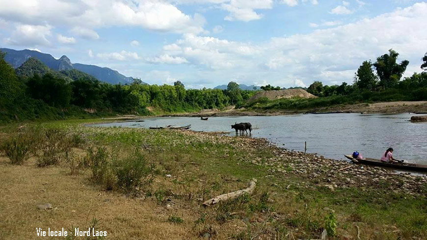 Paysage Nord Laos