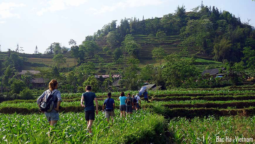 Trek randonnée Bac Ha