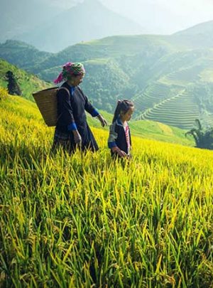 Circuit trek randonnée au Vietnam