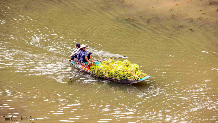 Bateau à rame – Tam Coc