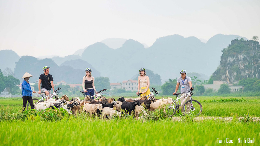 Promenade en vélo à Tam Coc