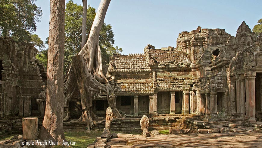 The ruins among a dense jungle setting