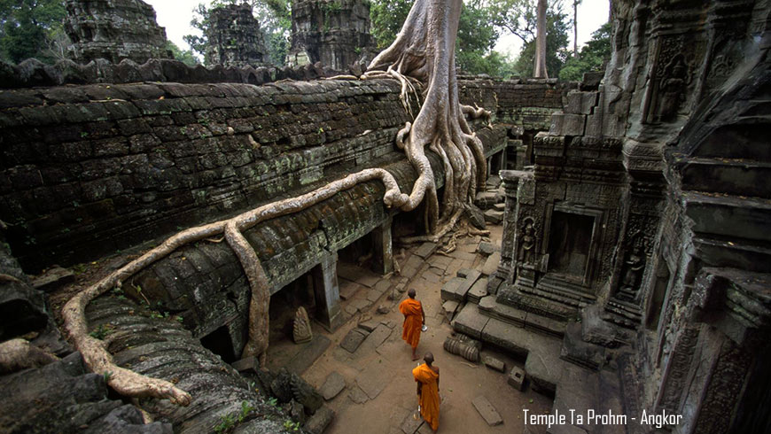 Temple Ta Prohm, Angkor