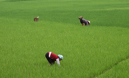 Au coeur du Vietnam rural et authentique 410 1