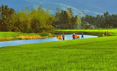 Essentiel du Vietnam avec extention à Luang Prabang