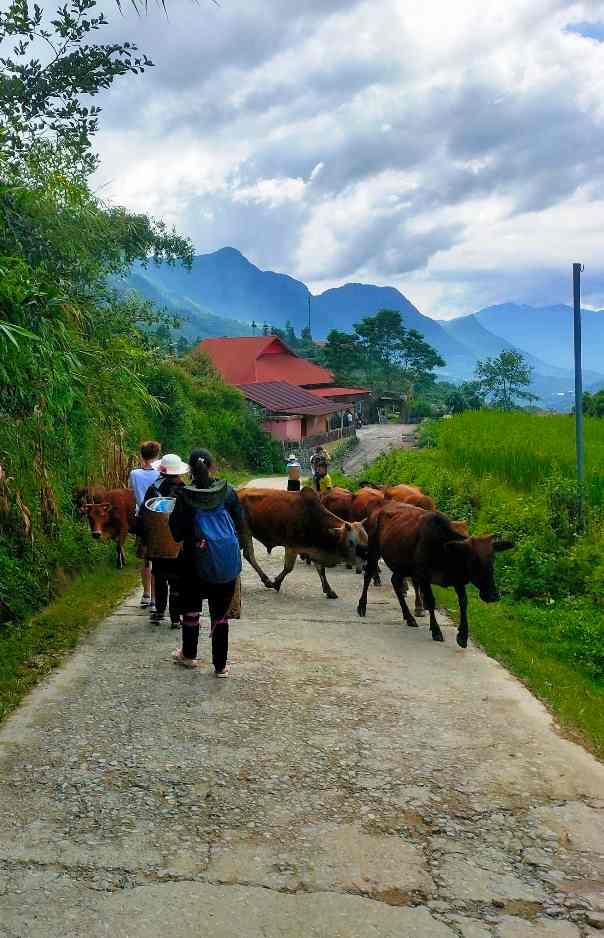 Avis voyageur Annie DESSON