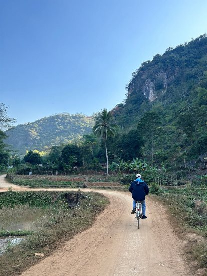 Avis Au Fil Du Vietnam Pedicelli