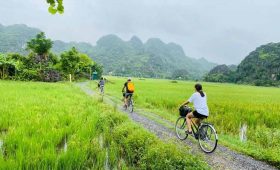 Visiter Ninh-Binh 2-ou-3-jours