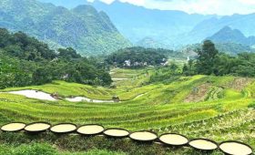 Que faire nord Vietnam guide