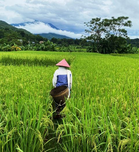 Avis Au Fil Du Vietnam famille Nowacki